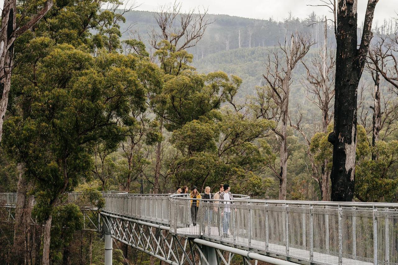 Tahune Airwalk Cabin And Lodge Geeveston Εξωτερικό φωτογραφία