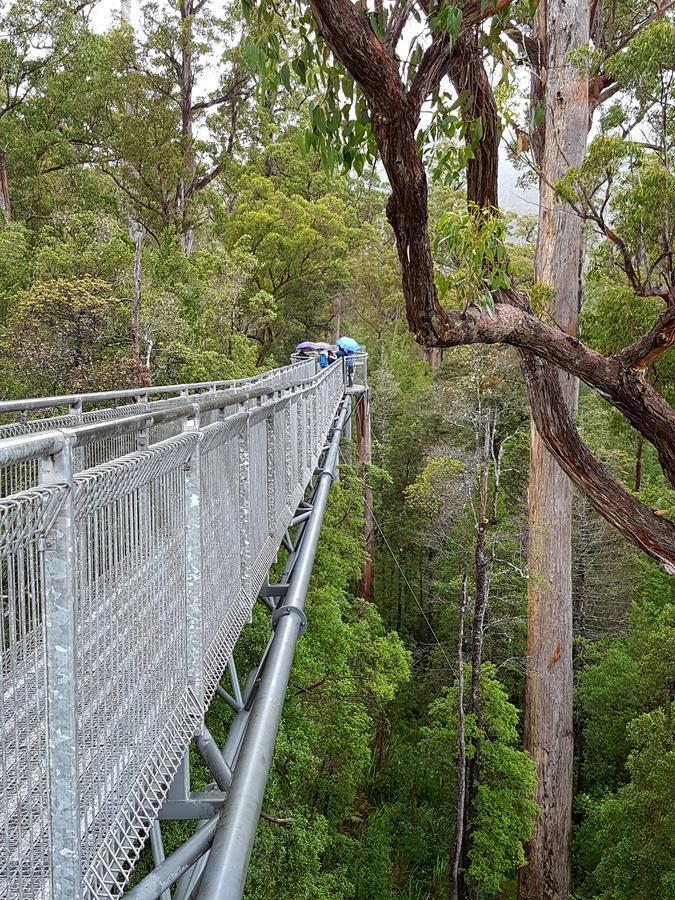 Tahune Airwalk Cabin And Lodge Geeveston Εξωτερικό φωτογραφία