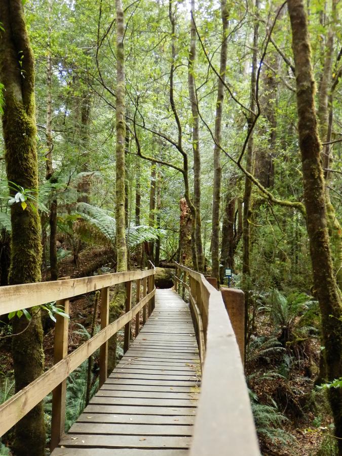 Tahune Airwalk Cabin And Lodge Geeveston Εξωτερικό φωτογραφία