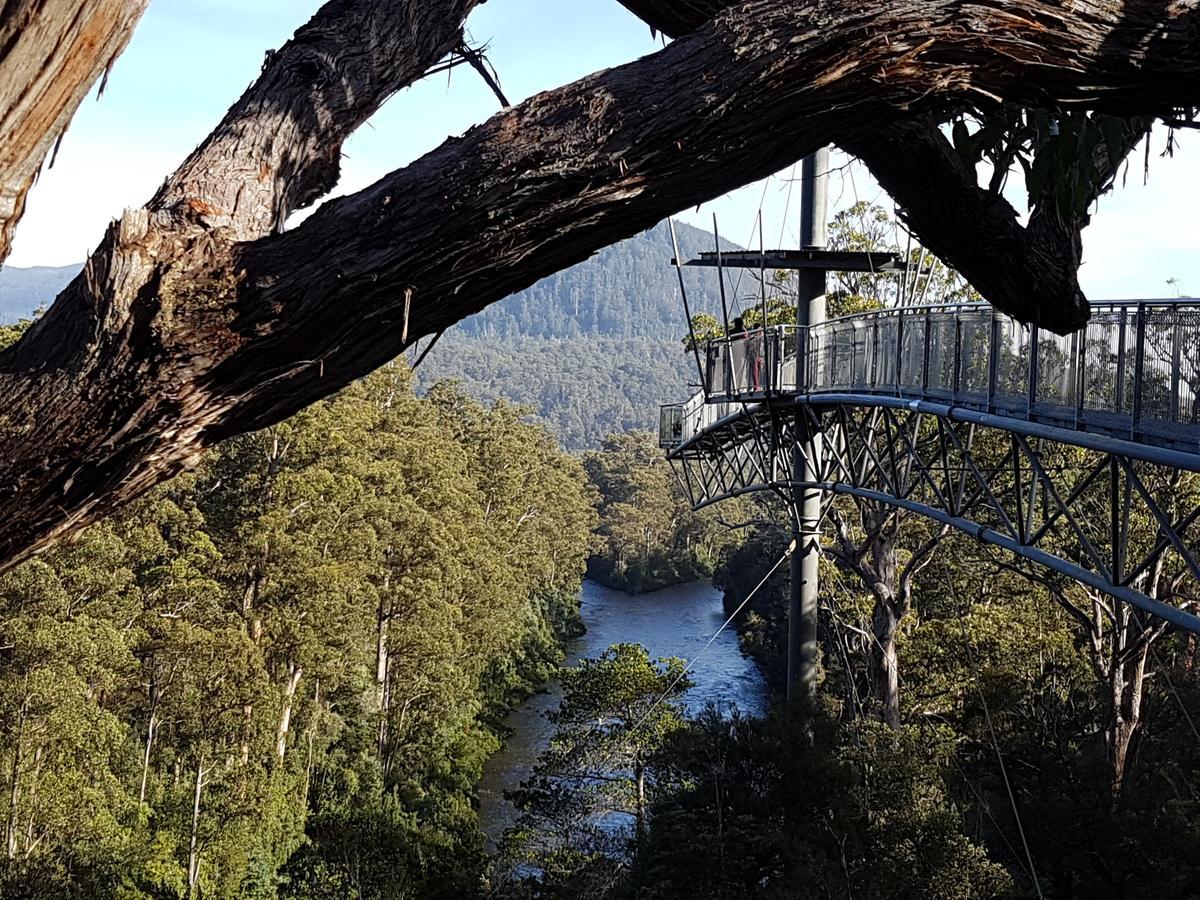 Tahune Airwalk Cabin And Lodge Geeveston Εξωτερικό φωτογραφία